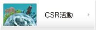 CSR����