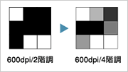 ���掿Fast1200 �C���[�W�}
