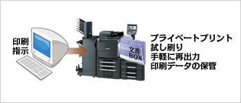 とと様専売 てぃーさん専用 てぃーさん専用 ZX仕様売ります