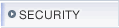 SECURITY