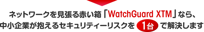 ネットワークを見張る赤い箱「WatchGuard XTM」なら、中小企業が抱えるセキュリティーリスクを1台で解決します