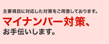 主要項目に対応した対策をご用意しております。マイナンバー対策、お手伝いします。