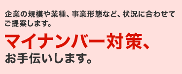 主企業の規模や業種、事業形態など、状況に合わせてご提案します。マイナンバー対策、お手伝いします。